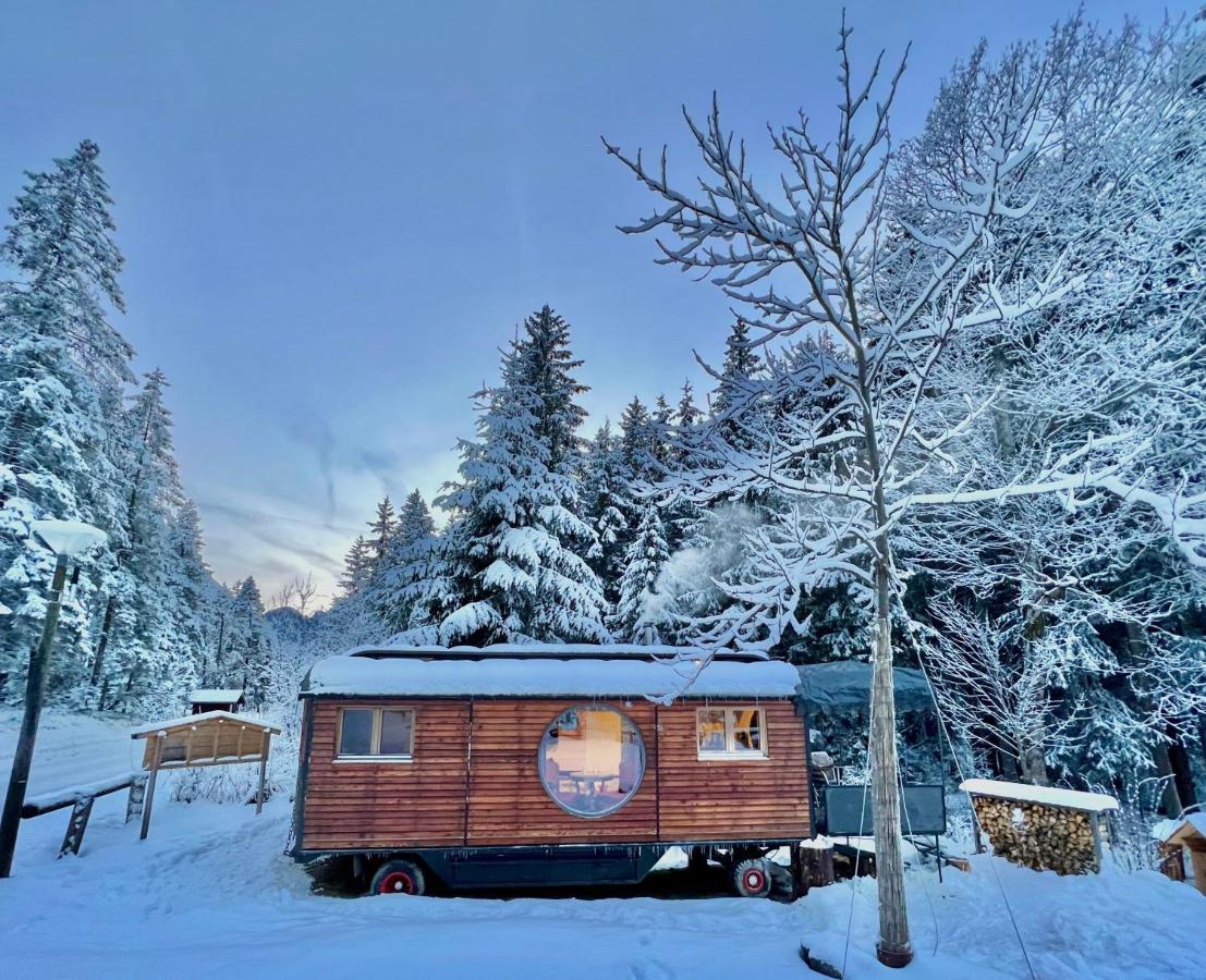 Typically Swiss Hotel Ermitage カンデルシュテッグ エクステリア 写真