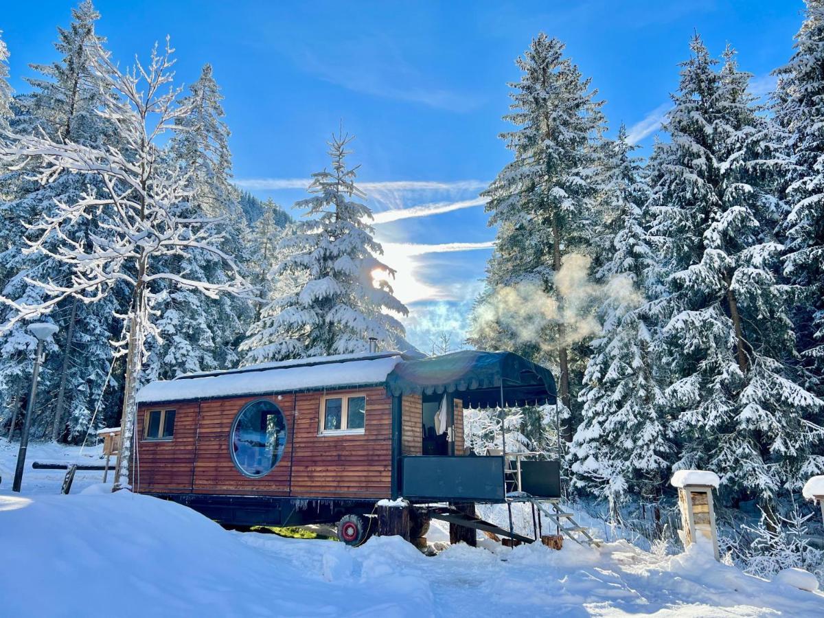 Typically Swiss Hotel Ermitage カンデルシュテッグ エクステリア 写真